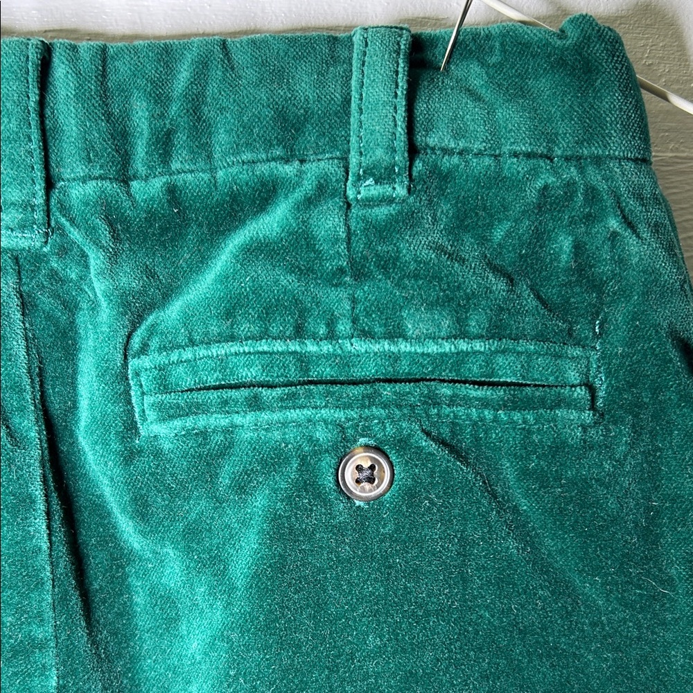 Gymboree Green Velvet Pants - Picture 7 of 9
